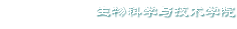 诸侯快讯网址ok1133